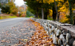 A winding road with a small rock wall and a lot of fall leaves